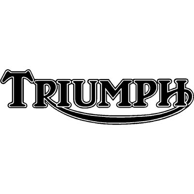 Triumph Pistons & Rings