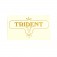 DECAL/  TRIDENT V 60-3954