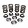 Triumph Spring Kit for 650-750 twin models  PM0296