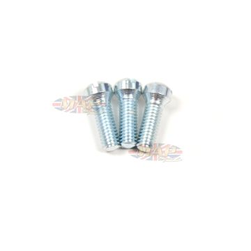SCREW (DISC) 376/079 
