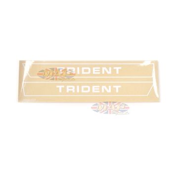 DECAL SET/  TRIDENT   71-72 60-2564/2565 