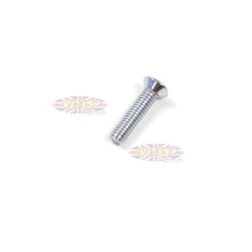 SCREW/ TANK BADGE 17MM (3/4  CHROME) 83-1339 