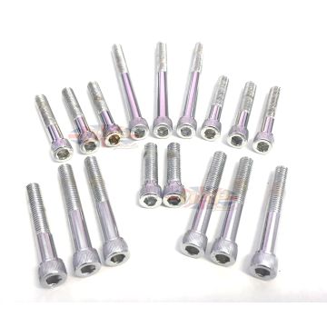 BSA A50-A65 (early) Chrome-Plated, Allen-Head, Side Cover Screw Set MAP3134/C 