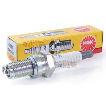 NGK Spark Plugs NGK-SPARKPLUG 